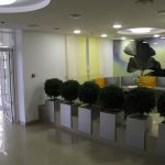 Eingangsbereich mit vielen Pflanztöpfen nebeneinander