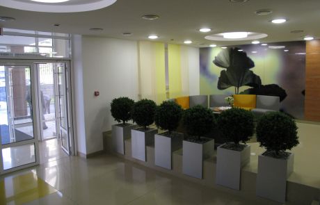 Eingangsbereich mit vielen Pflanztöpfen nebeneinander