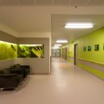 grüne Wandgestaltung im Klinikflur