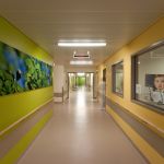 Gestaltung Klinikflur mit grüner Wandgestaltung