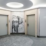 Gestaltung Hotelflur mit einem Elefantenbild vom Leipziger Zoo