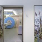 Türen in der Radiologischen Praxis Markkleeberg mit beruhigenden Naturmotiven